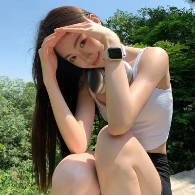 木材宝藏狗